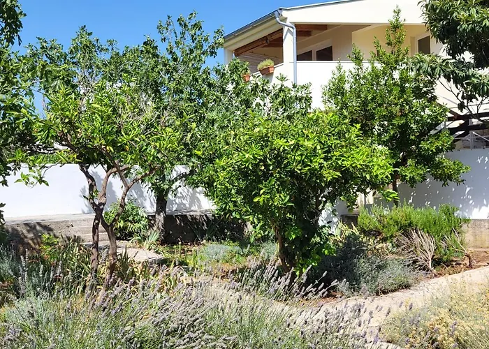 Lavender Garden House
