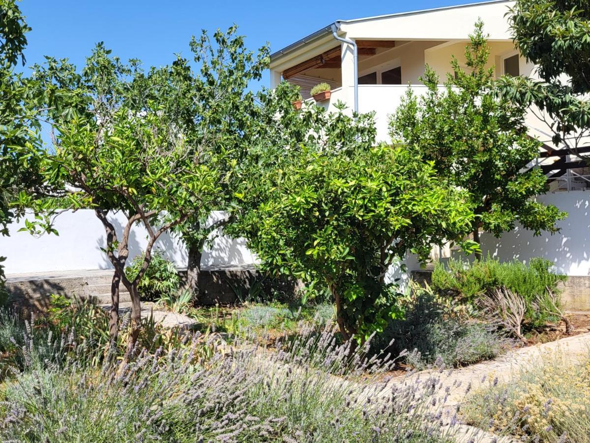 Lavender Garden House Holiday home *